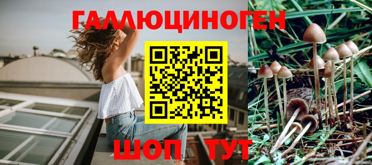 Галлюциногенные грибы GOLDEN TEACHER Лыткарино