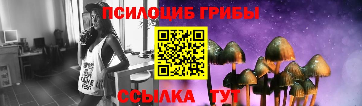 Лыткарино  Псилоцибиновые грибы прущие грибы  Вход с VPN 